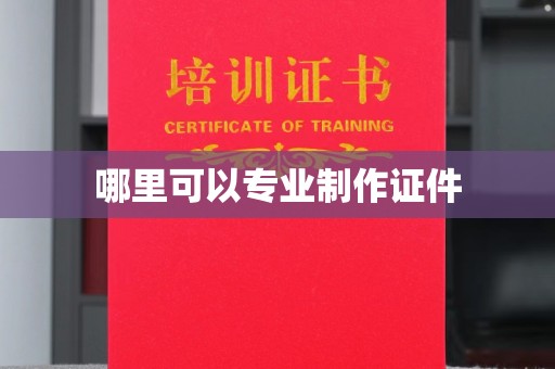 成都哪里可以专业制作证件