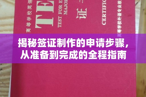 成都揭秘签证制作的申请步骤，从准备到完成的全程指南